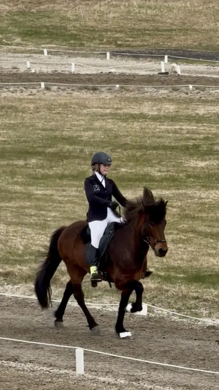Mynd 68 — Draumabakki